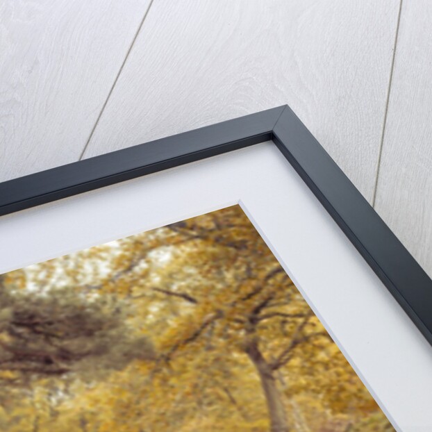 Canal through forest by Assaf Frank